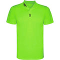 Polo paddock vert Demilly